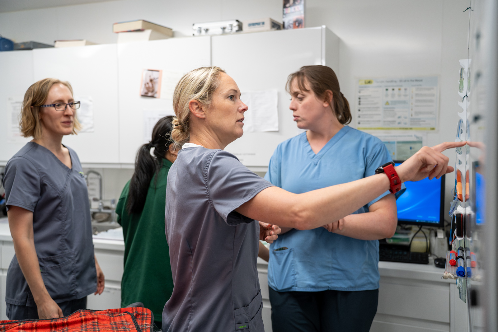 St Peters Vets (Web) 053