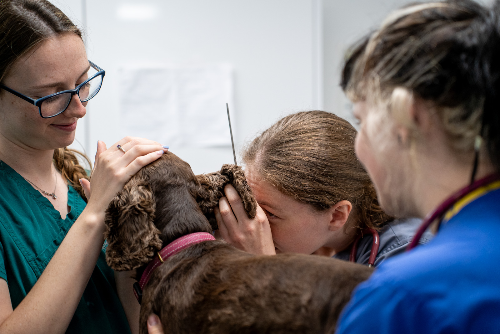 St Peters Vets (Web) 064