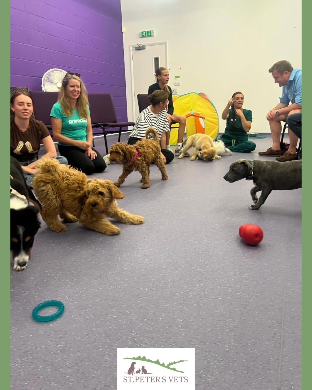 524963426_1176953074449209_4422613241700072390_n