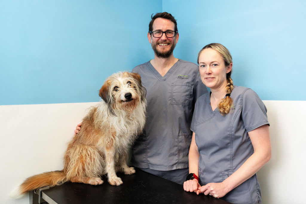 VP-PetsonSet(7of15)-DSC02690