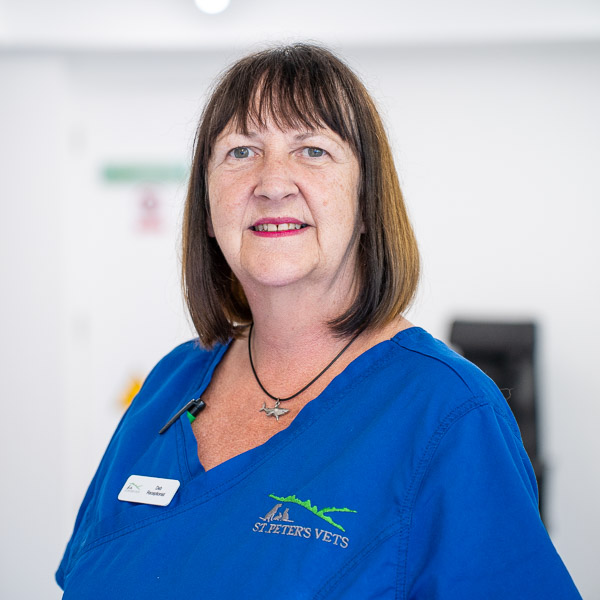 Deb Clarke - St Peters Vets (Web)