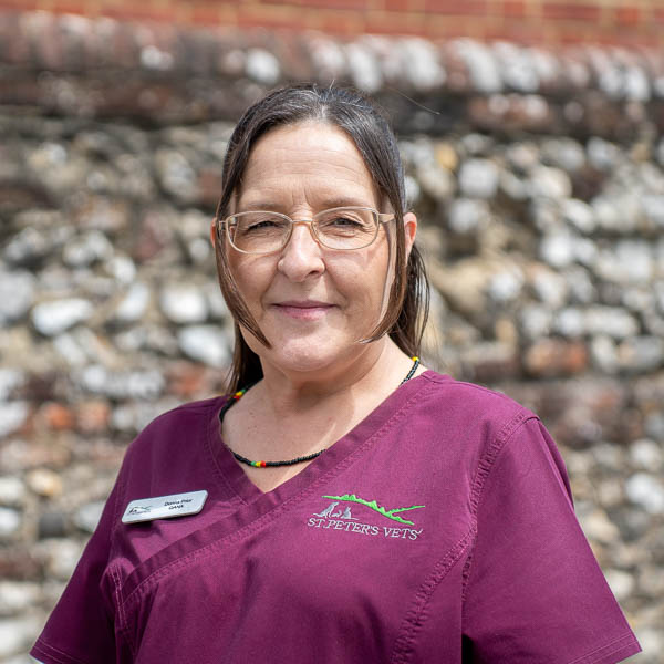 Donna Prior - St Peters Vets (Web)