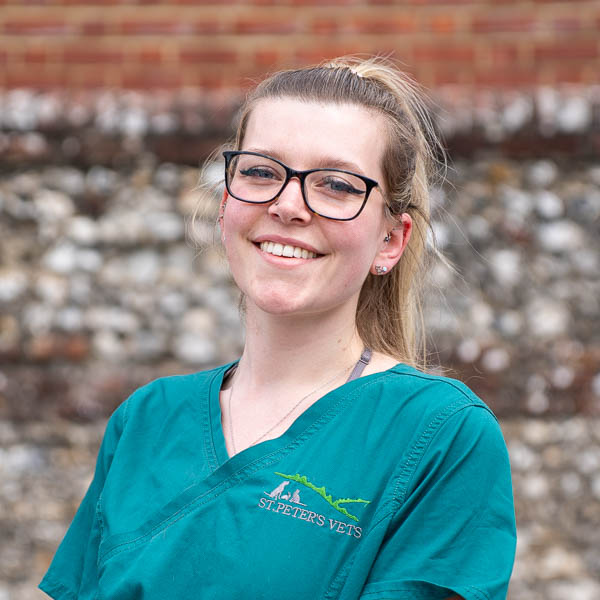 Lauren Wells - St Peters Vets (Web)
