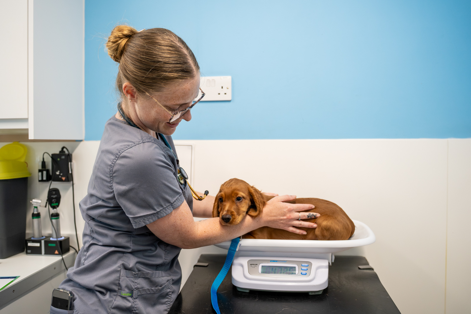 St Peters Vets (Web) 078