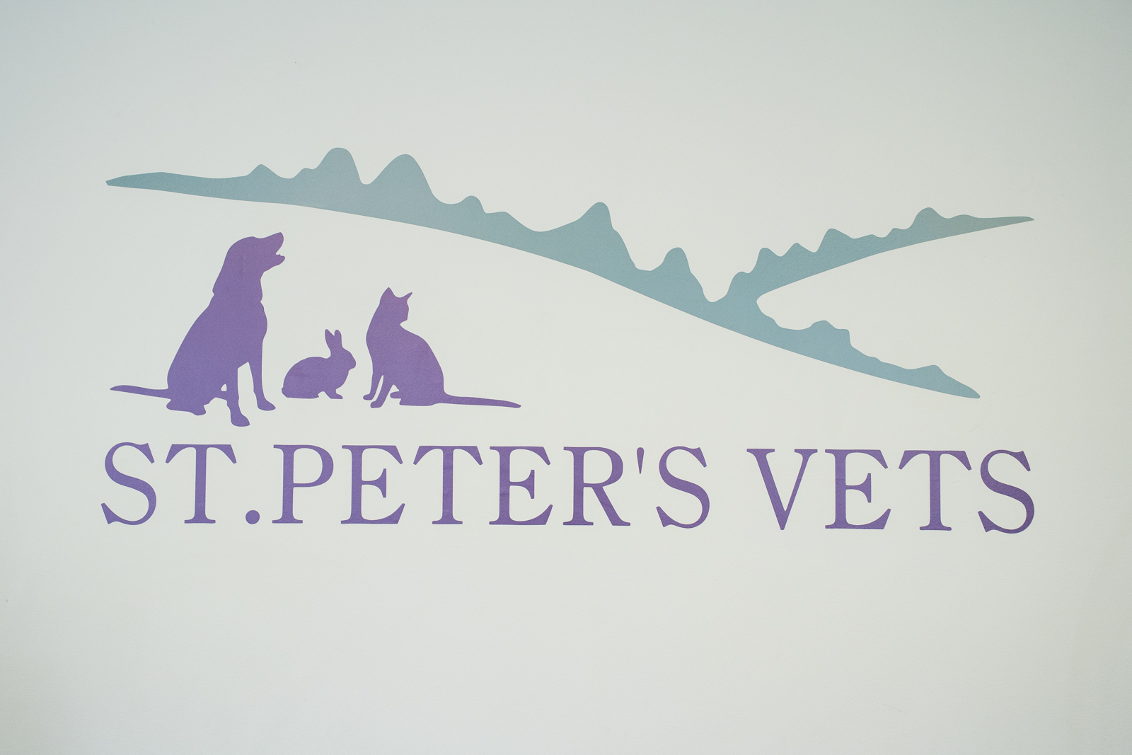 St Peters Vets (Web) 083